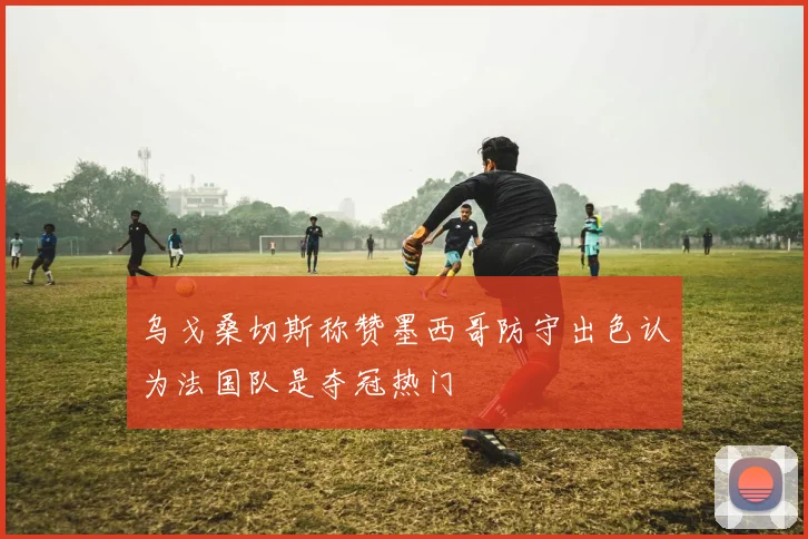 乌戈桑切斯称赞墨西哥防守出色认为法国队是夺冠热门