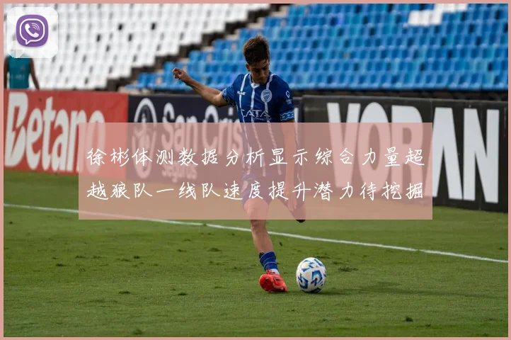 徐彬体测数据分析显示综合力量超越狼队一线队速度提升潜力待挖掘